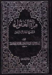 مراة العقول في شرح اخبار ال الرسول-26