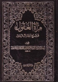 مراة العقول في شرح اخبار ال الرسول-24