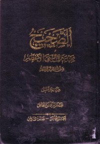 الصحيح من سيرة النبي الاعظم صلى الله عليه واله وسلم دراسة وتحليل 5-6